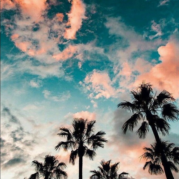 Meet your Posher, Emma - Picture 1 of 1